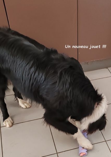 IMG_20250613_114407bb