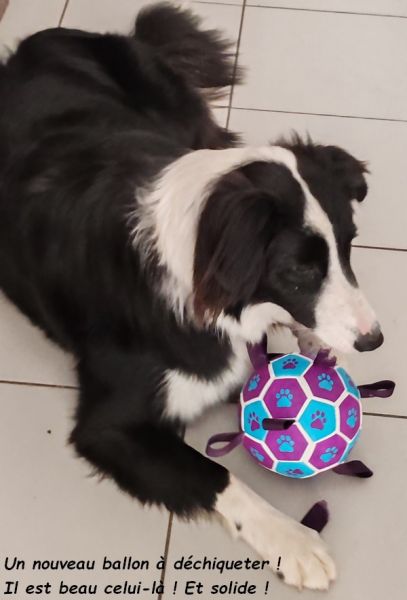 IMG_20250613_120555bb