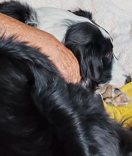 IMG_20250724_172733bb