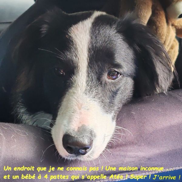 IMG_20250904_105548bb