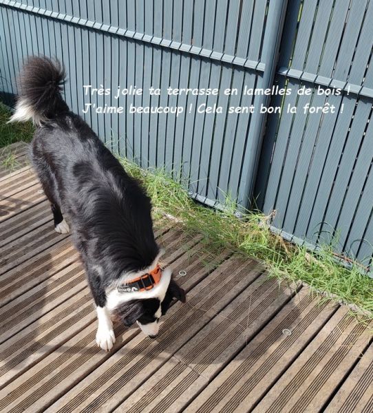 IMG_20250914_111535bb