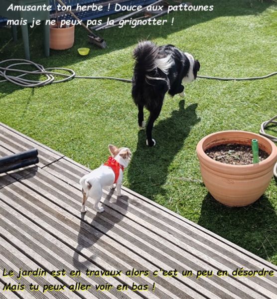 IMG_20250914_111541bb