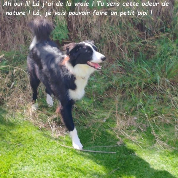 IMG_20250914_111710bb