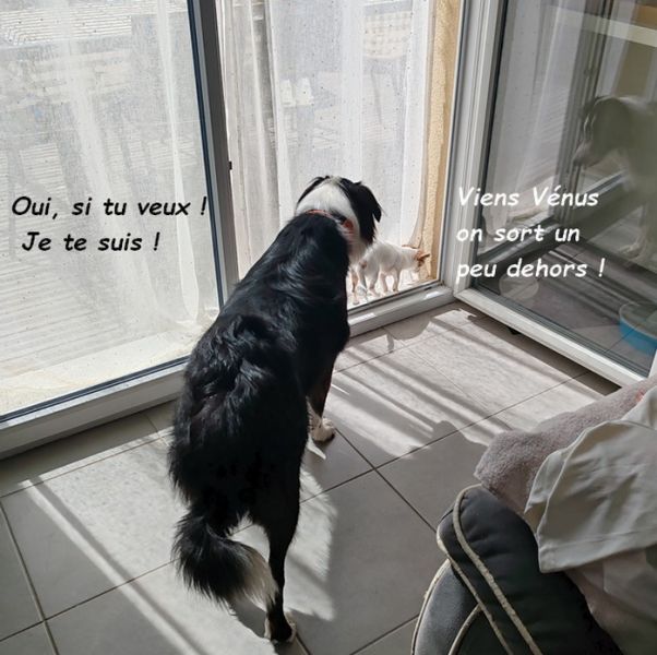 IMG_20250914_123822bb