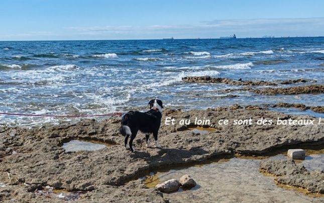 IMG_20250914_153059bb