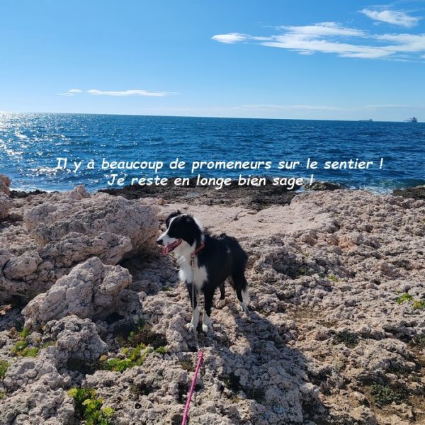 IMG_20250914_160404bb