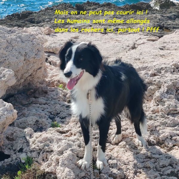 IMG_20250914_160410bb