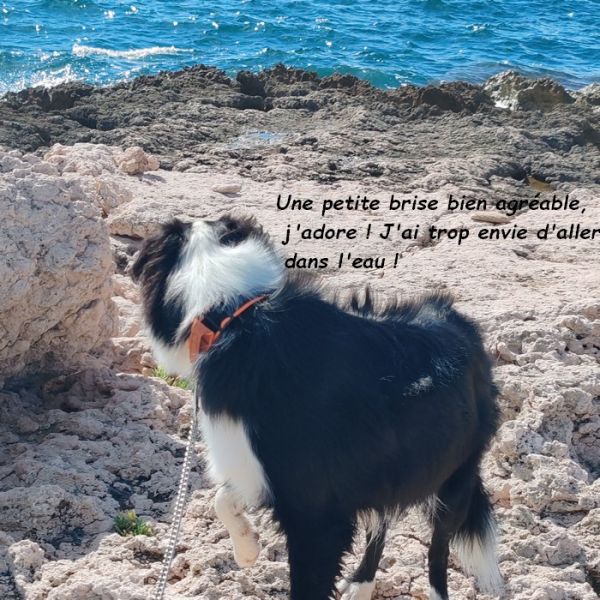 IMG_20250914_160418bb