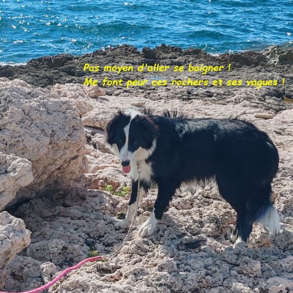 IMG_20250914_160426bb