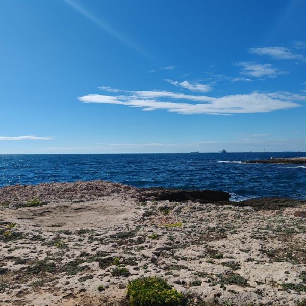 IMG_20250914_160615bb