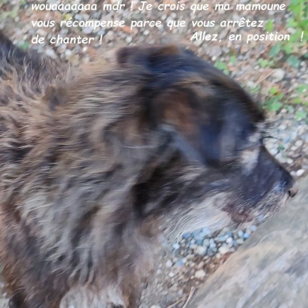 IMG_20250918_101338bb