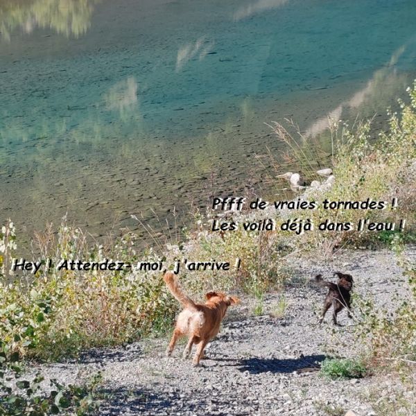 IMG_20250918_102555bb