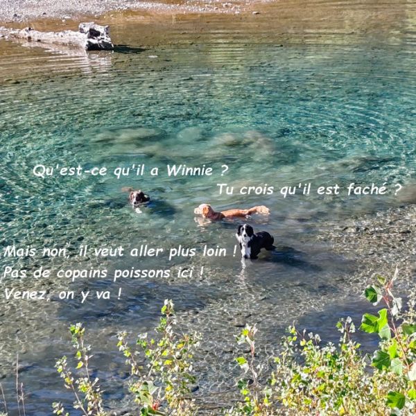 IMG_20250918_102638bb