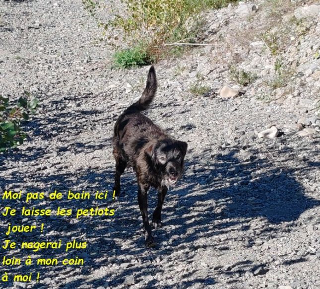 IMG_20250918_102642_1bb