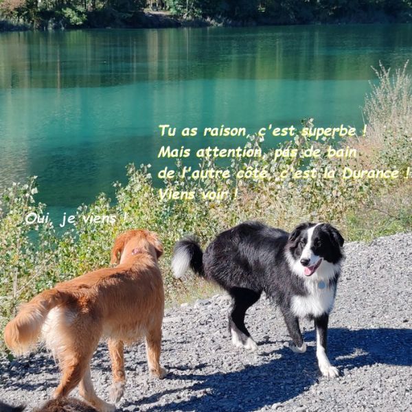 IMG_20250918_103404bb