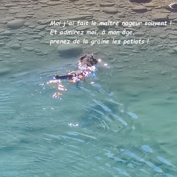 IMG_20250918_112707bb