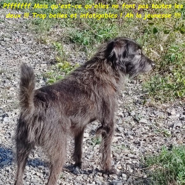 IMG_20250930_104355bb