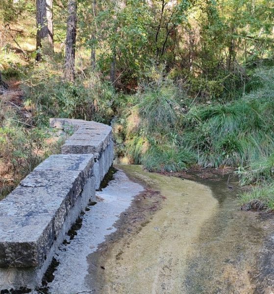 IMG_20251002_101038b