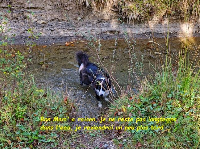 IMG_20251009_111216bb