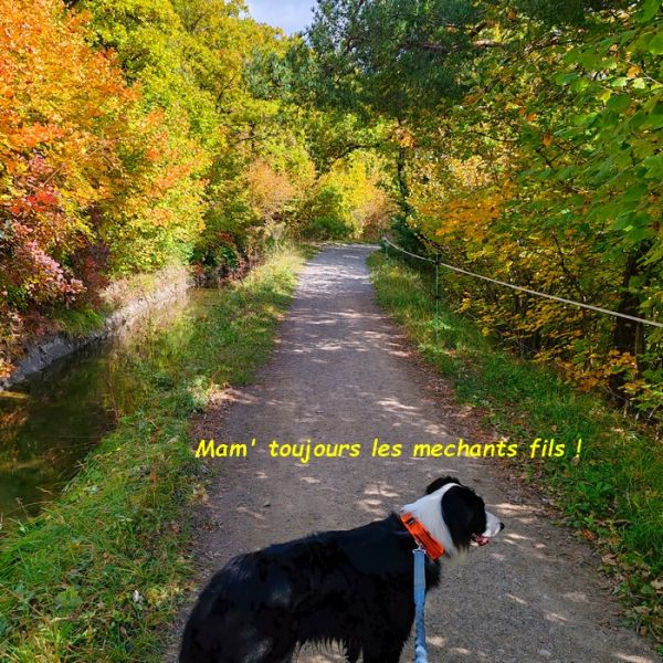 IMG_20251009_115206bb