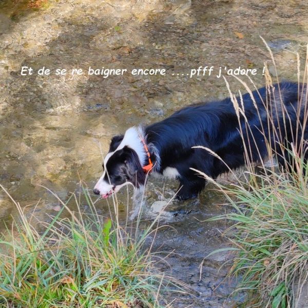 IMG_20251009_115457bb