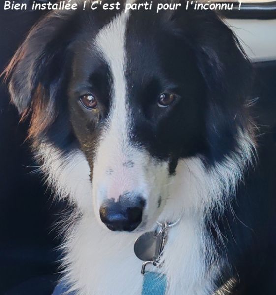 IMG_20251009_124334bb