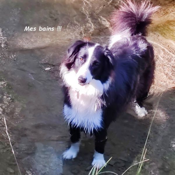 IMG_20251010_111240bbbbb