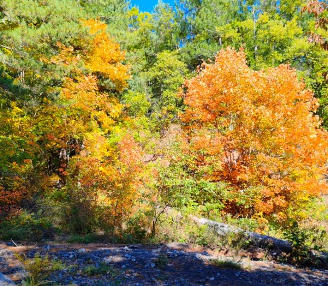 IMG_20251010_112215bb