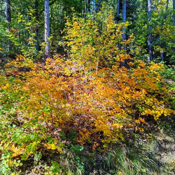 IMG_20251010_112221bb