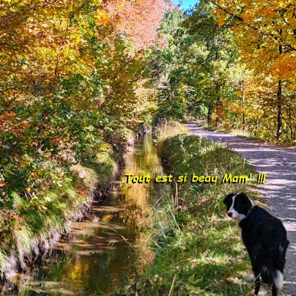 IMG_20251010_112541bb