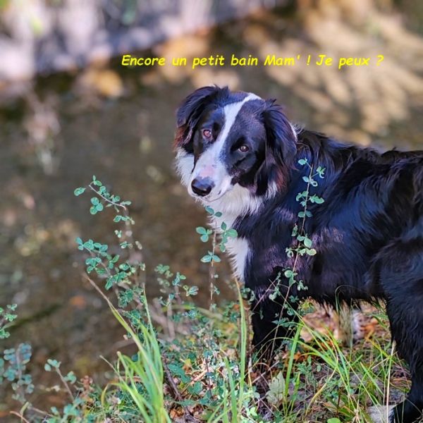 IMG_20251010_112615bb