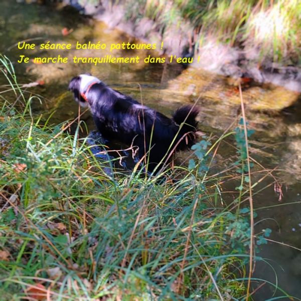 IMG_20251010_112623bb