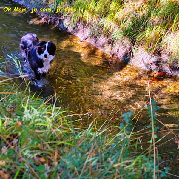 IMG_20251010_112628bb