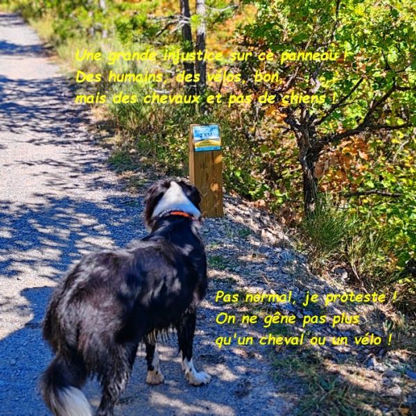 IMG_20251010_113906bb