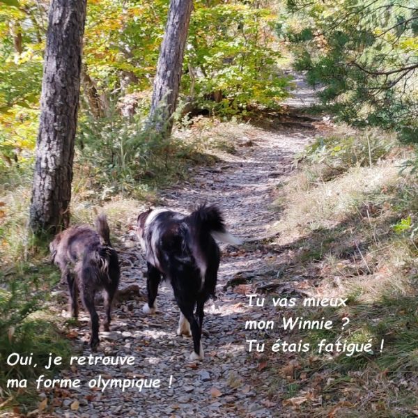 IMG_20251013_111530bb