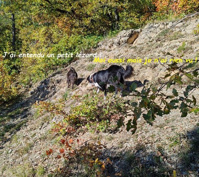 IMG_20251013_111917bb