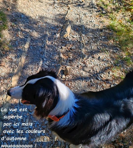 IMG_20251013_111931bb