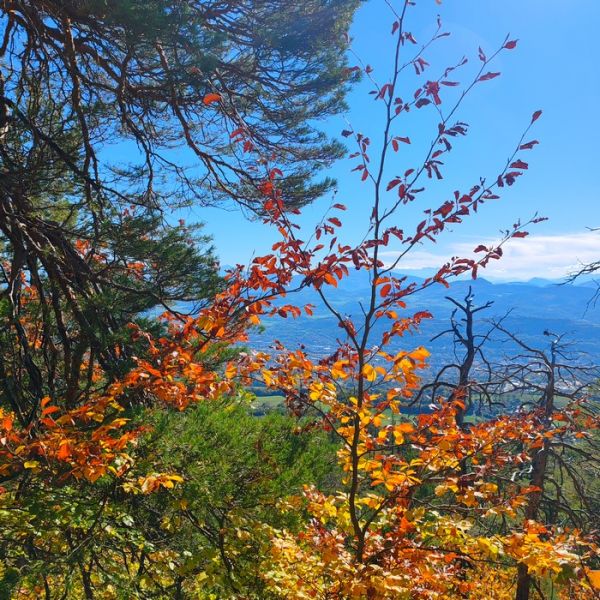 IMG_20251013_111946bb