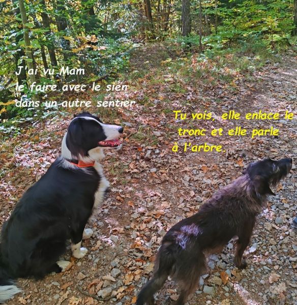 IMG_20251013_113735bb