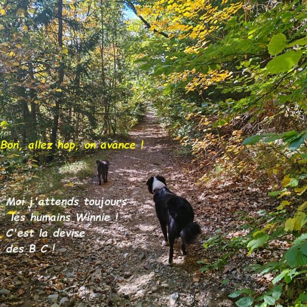 IMG_20251013_114045bb