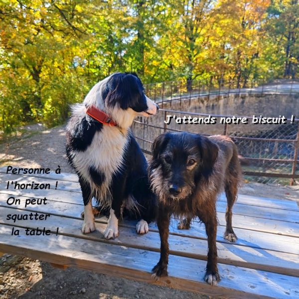 IMG_20251013_115918b