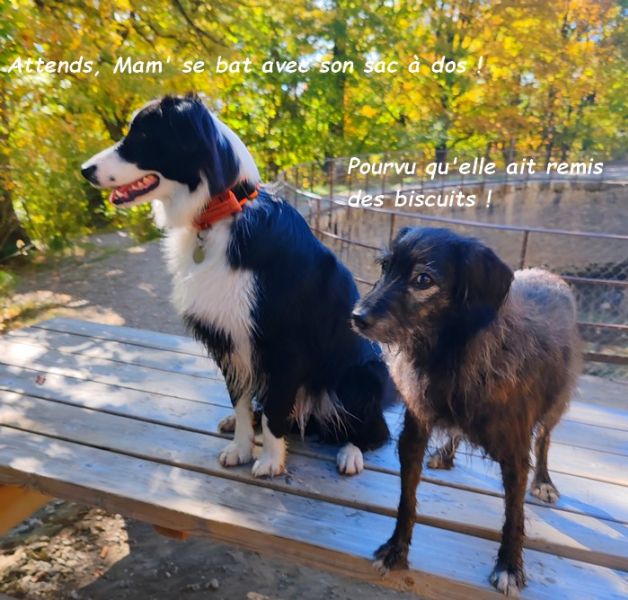 IMG_20251013_115920bb