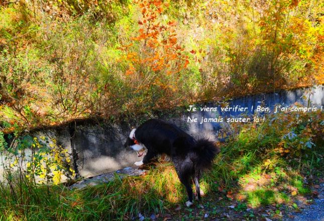 IMG_20251013_122021bb