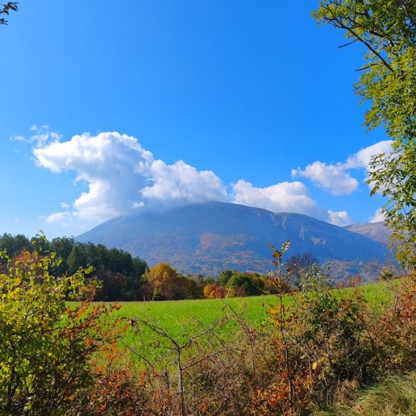 IMG_20251017_114428bb