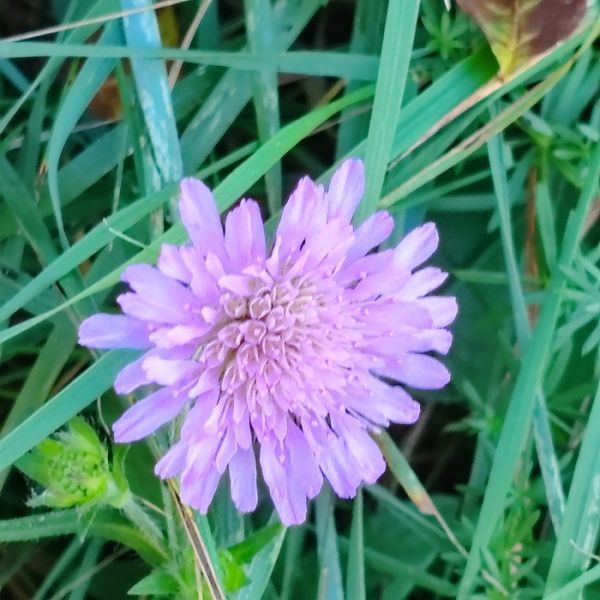 IMG_20251017_114714bbbbbb