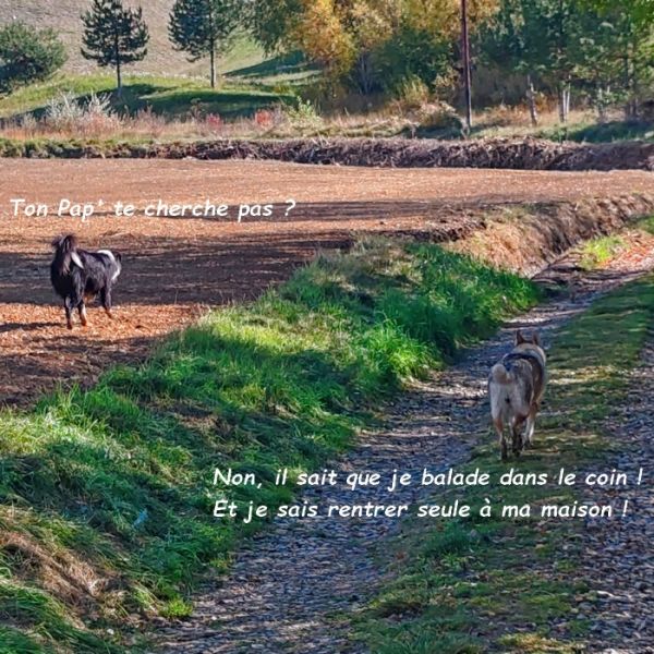 IMG_20251017_115438bb