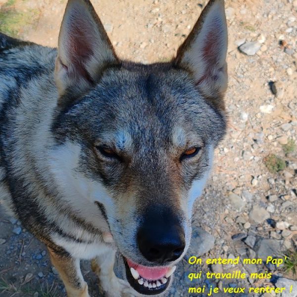 IMG_20251017_120159bb