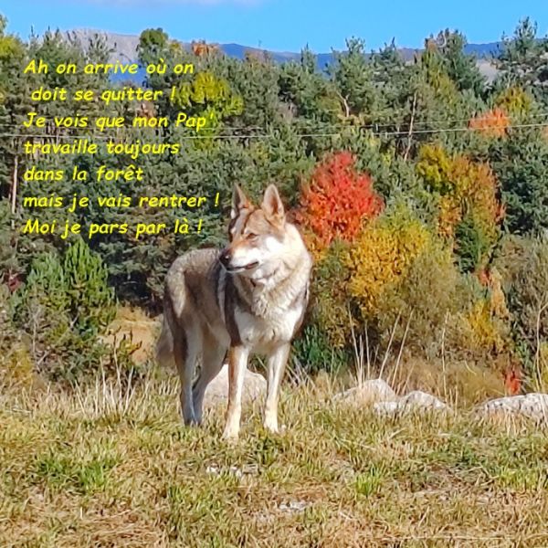 IMG_20251017_120457bb_1