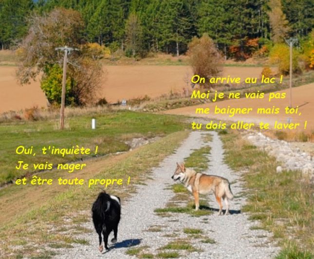 IMG_20251017_121451bb