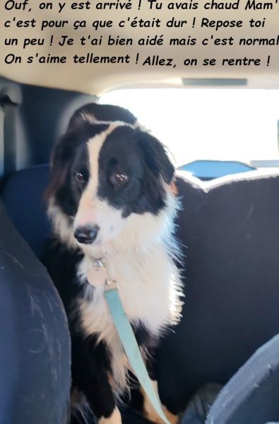 IMG_20251017_122913bb_1